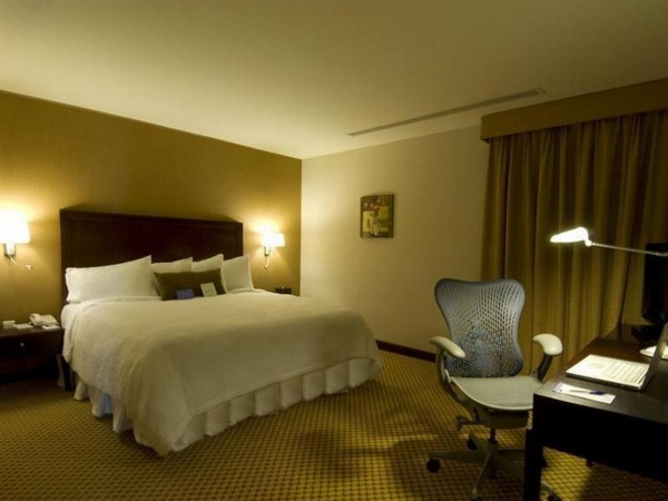 Hilton Garden Inn Riyadh Olaya image 28